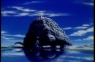 AMON044.jpg