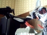 evangelion65.jpg